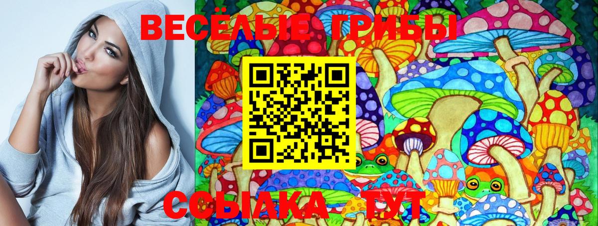 Галлюциногенные грибы Psilocybine cubensis Люберцы